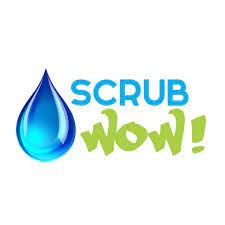 Scrub Wow Original Scrubby 4 pack Striped designs Slightly lighter than some others but perform Equally as well!